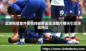NFL精华｜海豚vs爱国者 爱国者冲击美联头名 大比分击败海豚